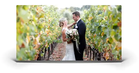 Napa Wedding Group Transportation