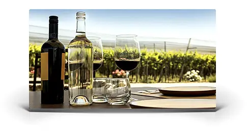 Napa Valley Wine Tasting Tours