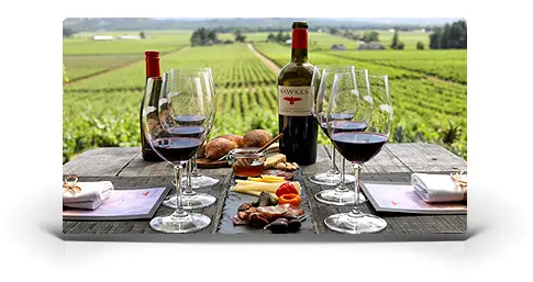 Sonoma Valley Wine Tasting Tours